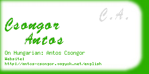 csongor antos business card